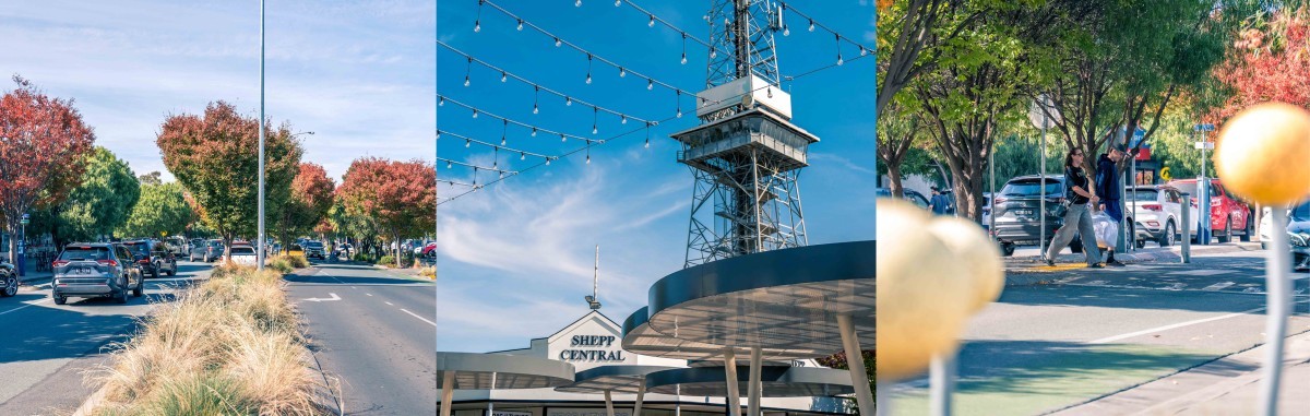 Shepp CBD - Web Header V21