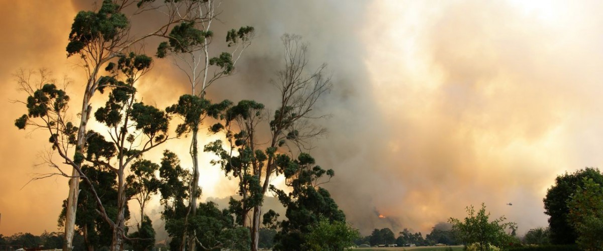Bushfire Smoke Photo Courtesy CFA