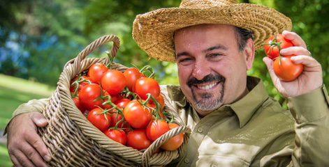 Man holding tomatoes